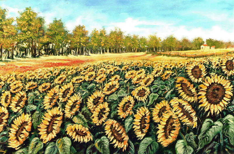 Campo di girasoli- 80X100