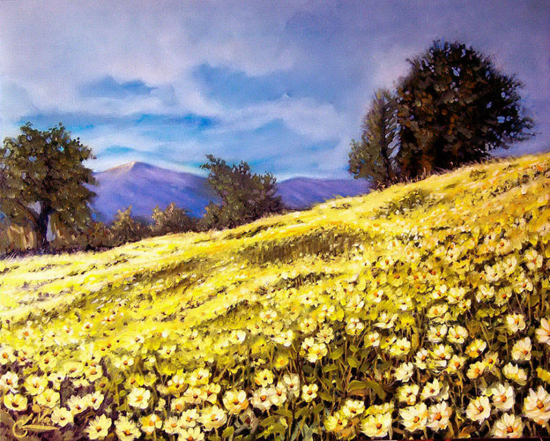 Paesaggio brianzolo - 40x50