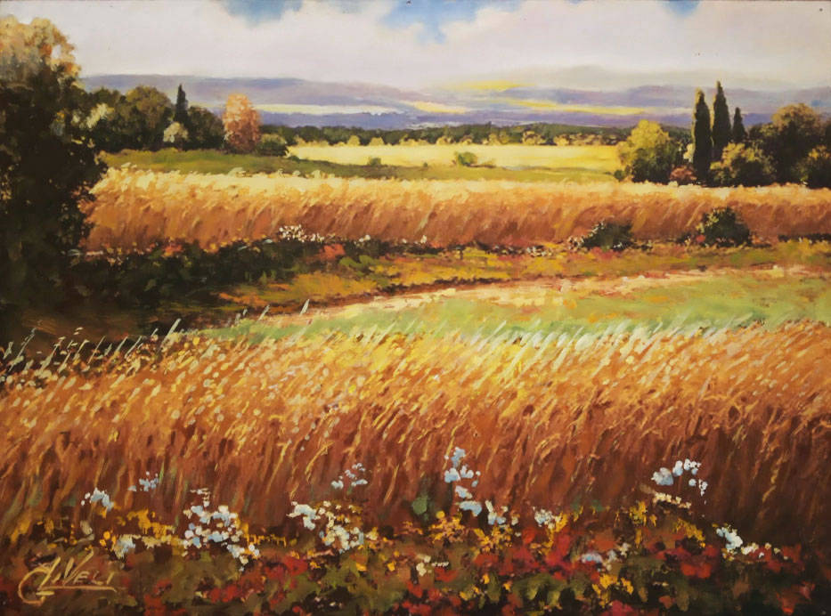 Campo di grano