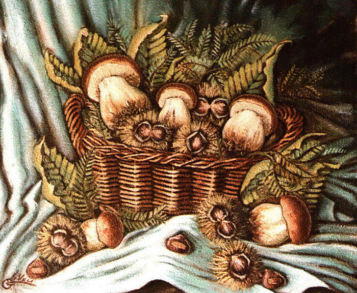 Ricci e funghi - Olio su tela sabbiata cm 50x60