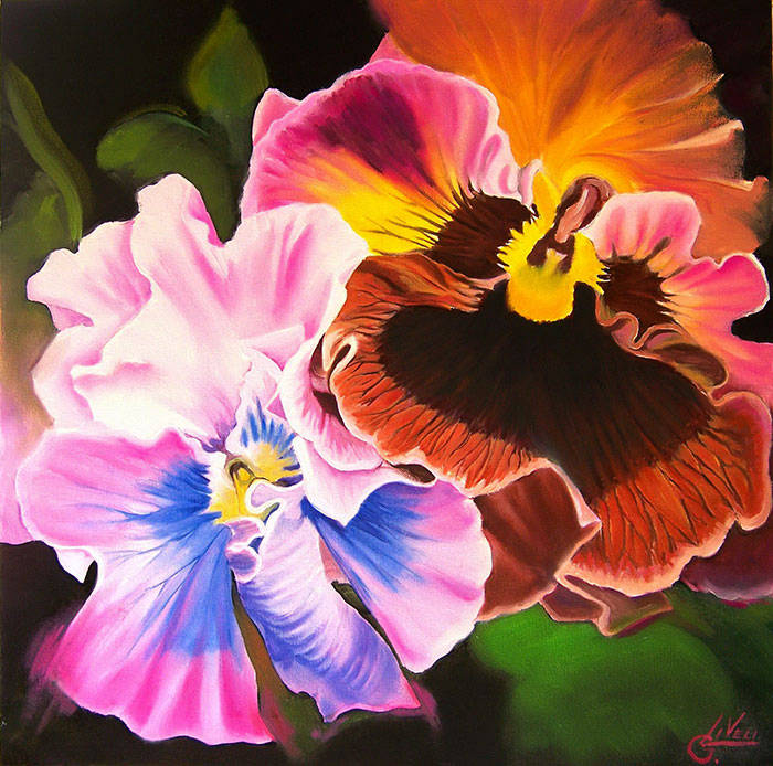 Viole Olio su tela 40x50